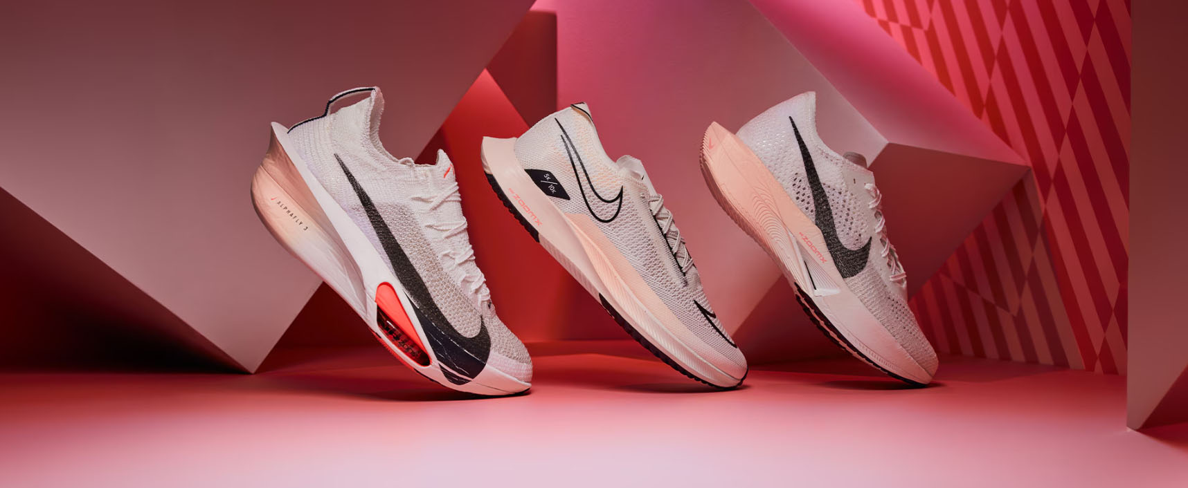 Famous Sneaker Store -Famous Sneaker Store ghjgj